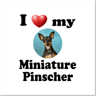 I Love My Miniature Pinscher Posters and Art